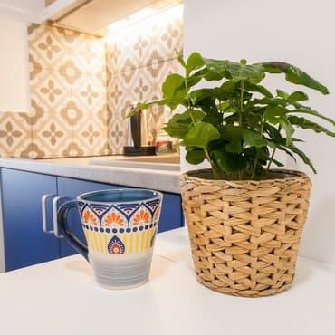 вул. Джона Маккейна, 35Б, кв.2 (студія 3)